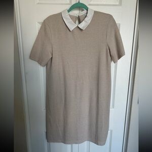 Elegant Tan Short Sleeve Dress with White Collar